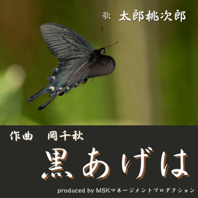 black swallowtail