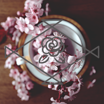 Footsteps of Spring