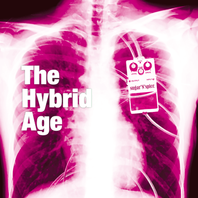 The Hybrid Age