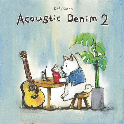 Acoustic Denim 2