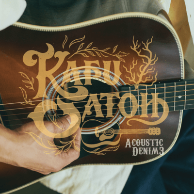 Acoustic Denim 3