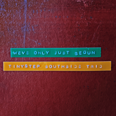 We've Only Just Begun (Cover)