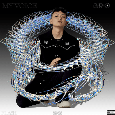 MY VOICE