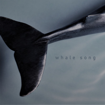 Whale Song