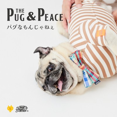 Even pugs have it tough