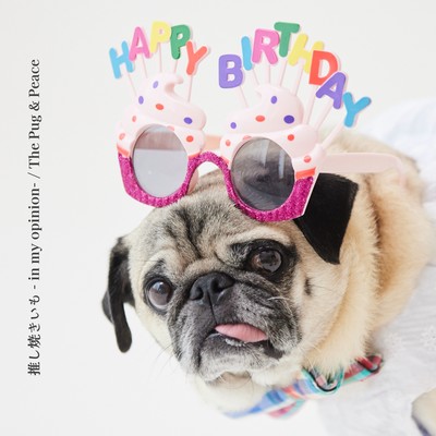 My Sweet Potato Song