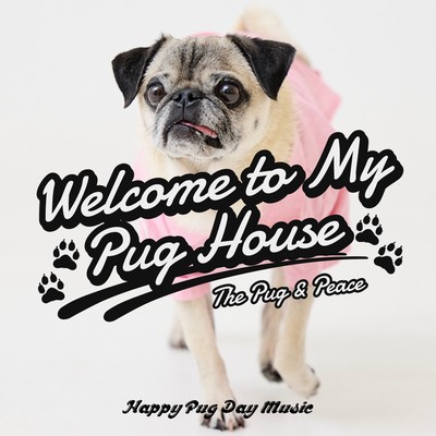 Welcome to My Pug House