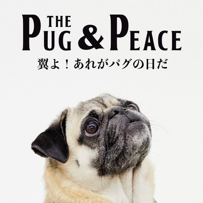 The Spirit of Pug & Peace