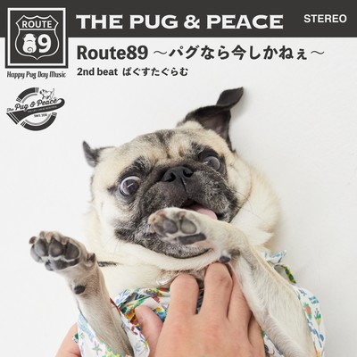 Route89 - Just do it now. Pug & Peace! -