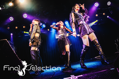 Final Selection