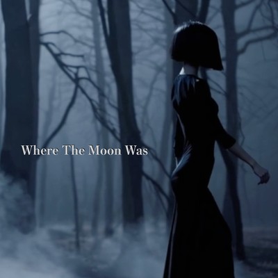 Where The Moon Was