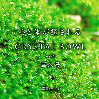 Heal your mind and body CRYSTAL BOWL meets Yakushima Island