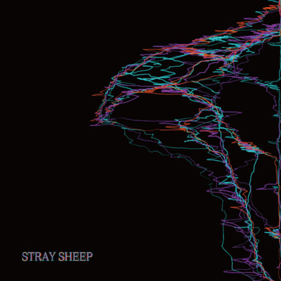 Stray sheep