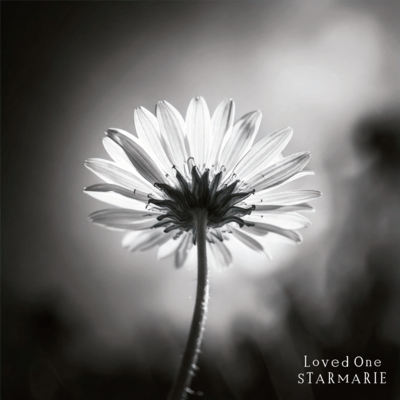 Loved One (STARMARIE ver)