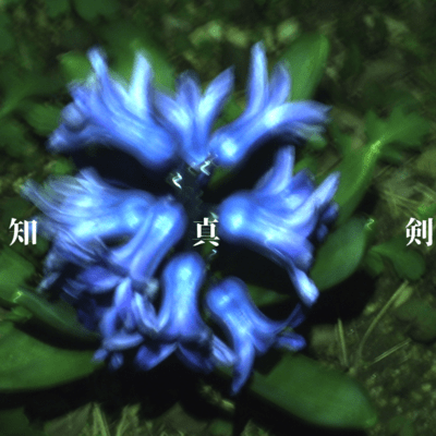 Shirashinken