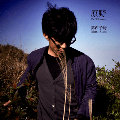 The Wilderness (Remastering in Japan)