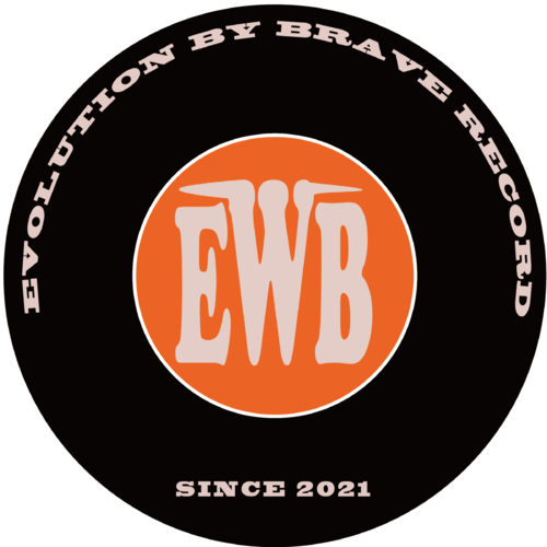 Evolution By Brave RECORD