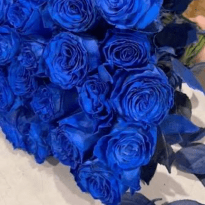 kireinahanatabani mizuwo agetakatta