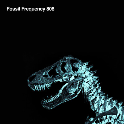 Fossil Frequency 808 prod. Crim Nanakusa