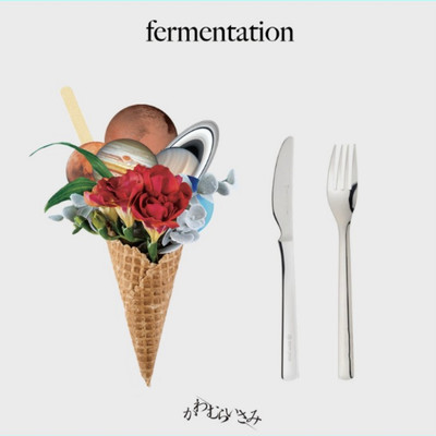 fermentation