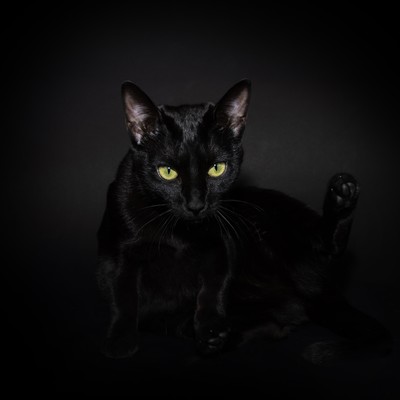 Rock 'n' roll of the Beast