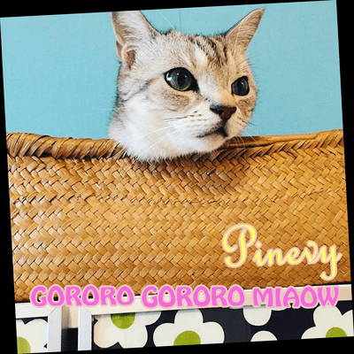 GORORO GORORO MIAOW