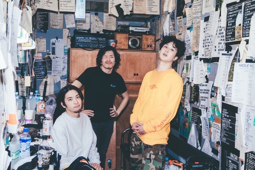 Garden of Chicken Cokes