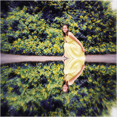 Kira kira flower field