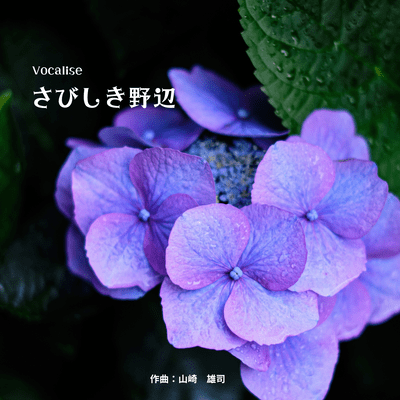 the vocalise-lonely field