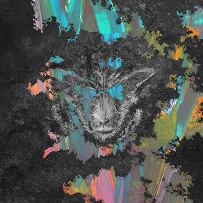 Black sheep