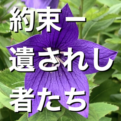 Promise-The Bereaved