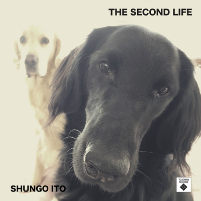 THE SECOND LIFE (2021 Remaster)