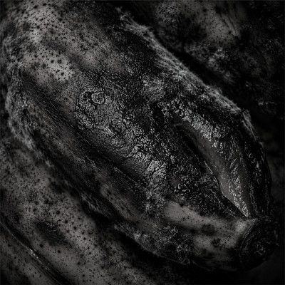 Bitterness (feat. Mike Larry Draw)