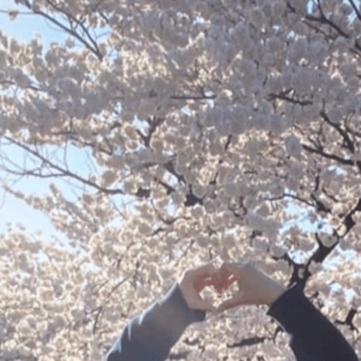 Before we can no longer meet