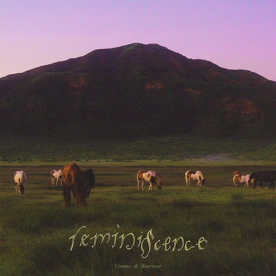 reminiscence
