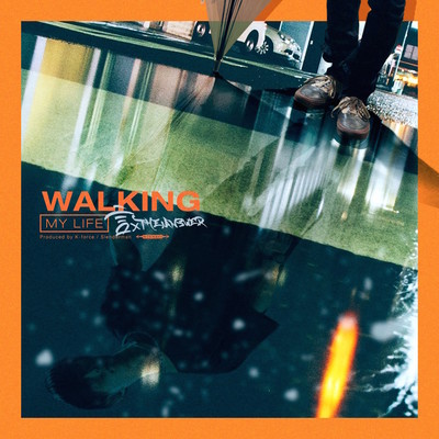 Walking My Life