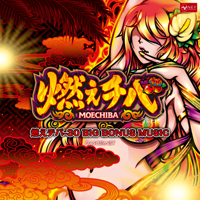 MOECHIBA-30 BIG BONUS MUSIC