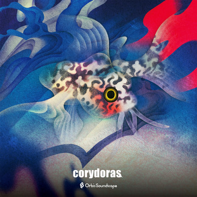 Corydoras