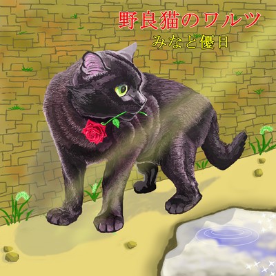 Stray cat Waltz