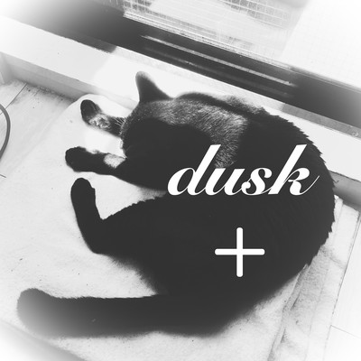 dusk plus