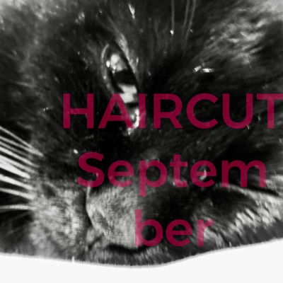 HAIRCUT September (Remix2026)