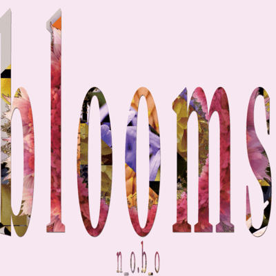 blooms