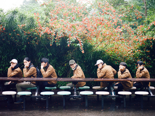 Sunset Rollercoaster