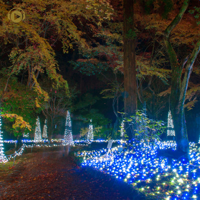 irodoraretasizukanamoriwoyukkuritosanpo