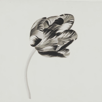 YellowFlower (2024 Mix)