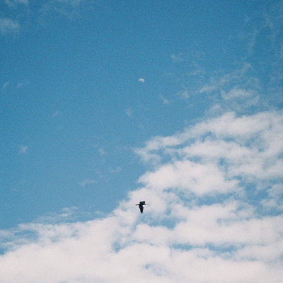 moon