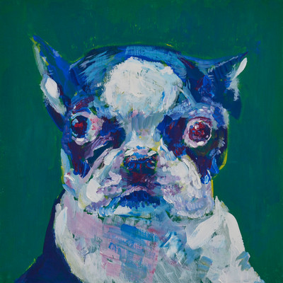 A French Bulldog Talking to Itself