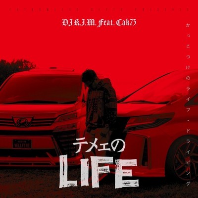 TEMEINOLIFE ~Kakkotukenolife driving~