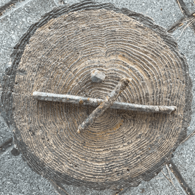 I Wish All Your Best/Te deseo suerte