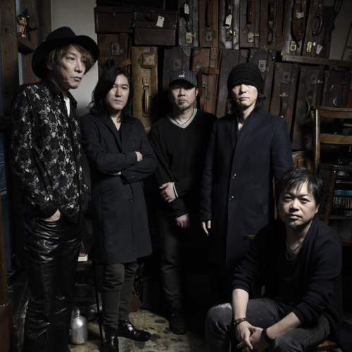 ZEPPET STORE